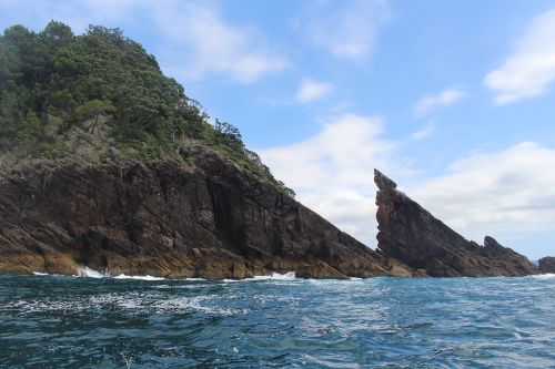 sea new zealand whitianga