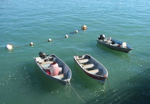 sea fishing boat ocean