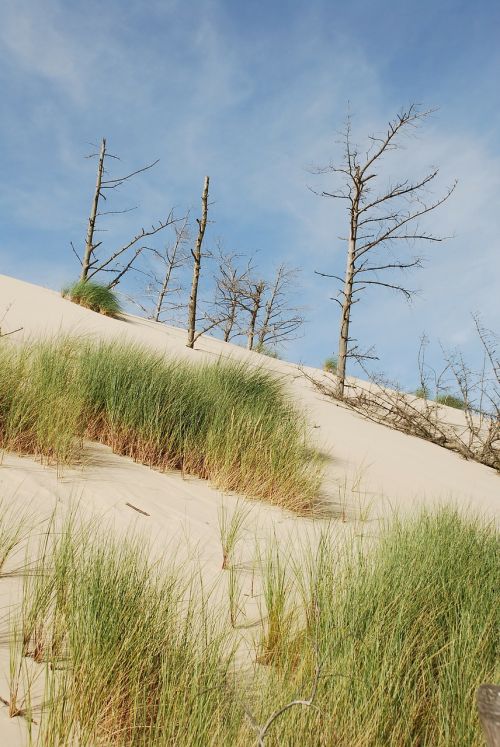 sea the sand dunes sand