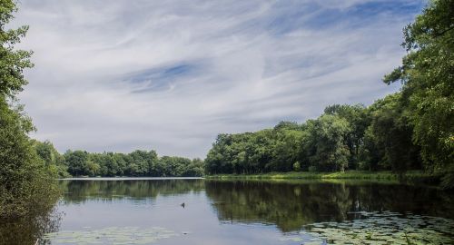 lake water forest