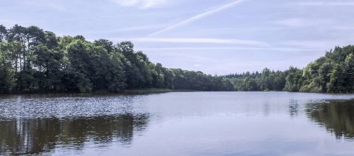 lake forest reflection