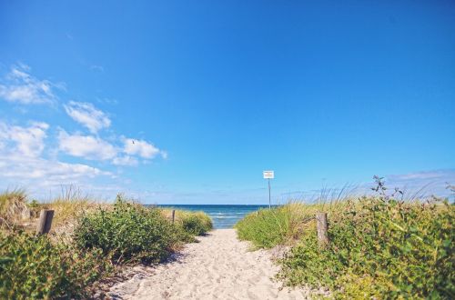 sea dunes beach