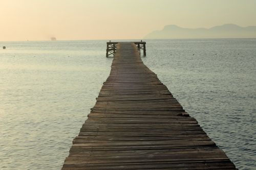 sea web wood