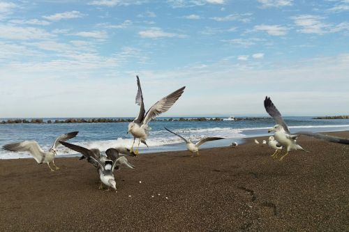 sea beach sky