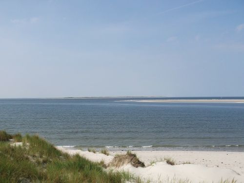 sea beach dunes