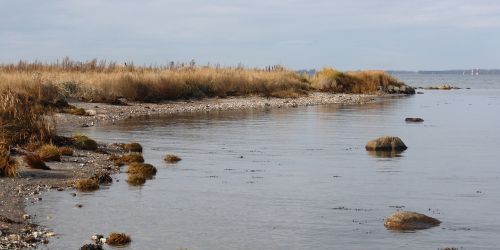 sea fjord beach