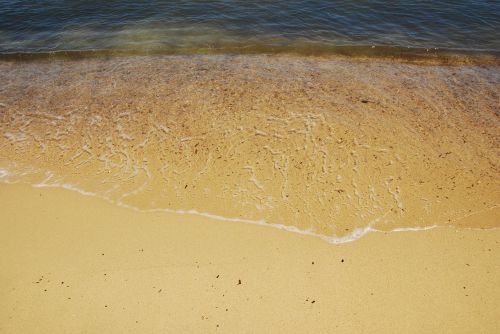 sea water beach