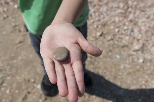 sea stone hand