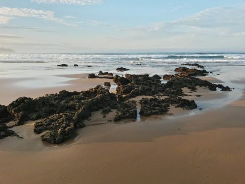 sea beach stone