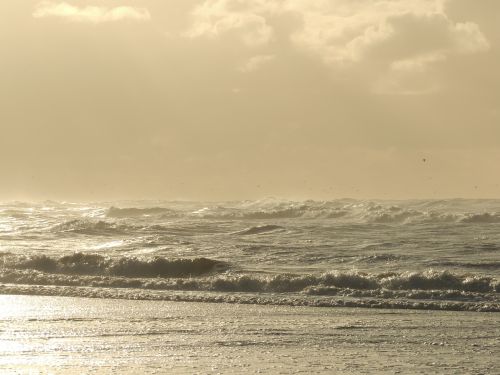 sea waves coast