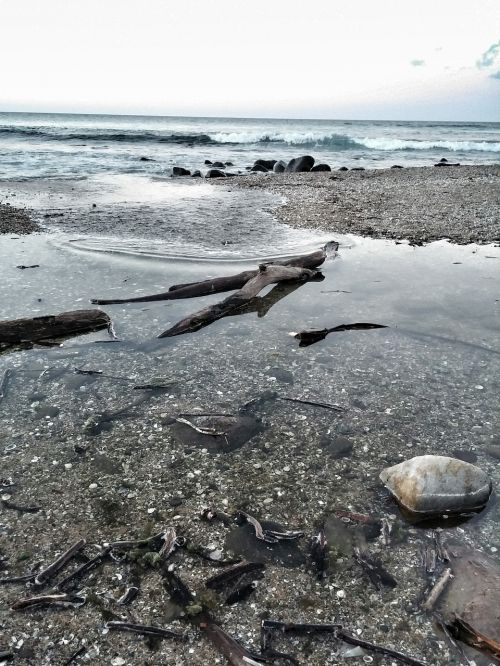 sea rock pool sand