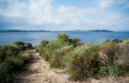 sea beach view