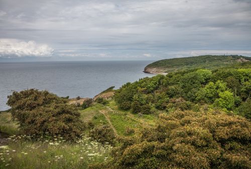 sea bornholm beach