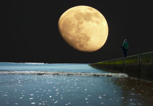 sea moon evening