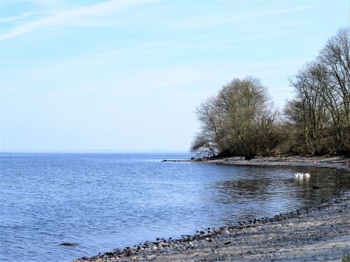 sea lake danish baltic sea coast