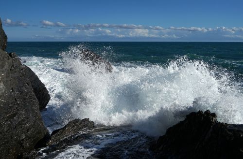 sea surf rock
