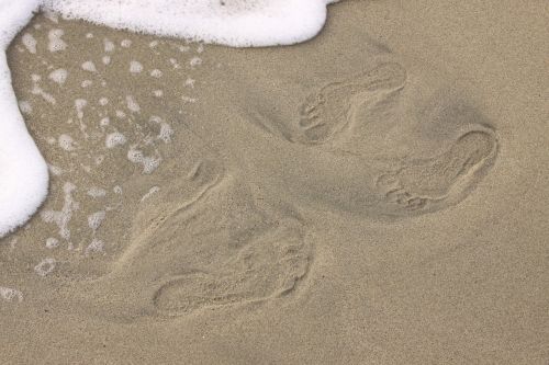 sea beach wave