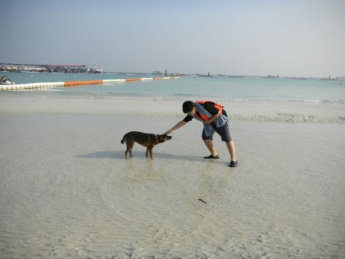 sea sand puppy