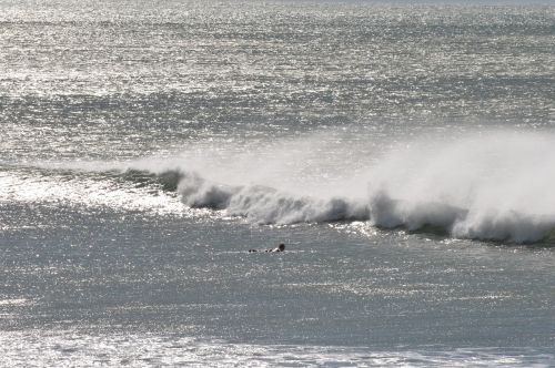 sea wave surfing