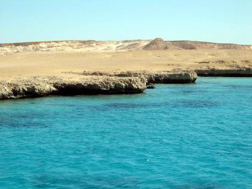 sea reefs egypt