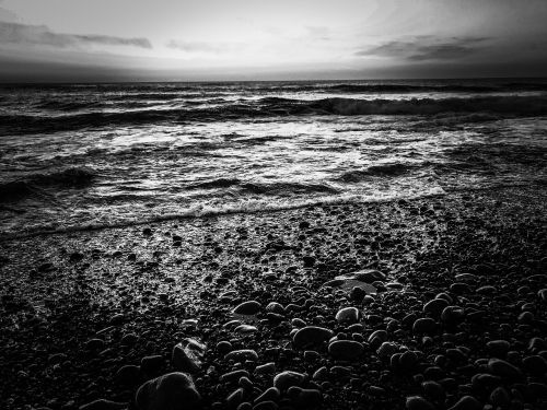 sea sassi black and white