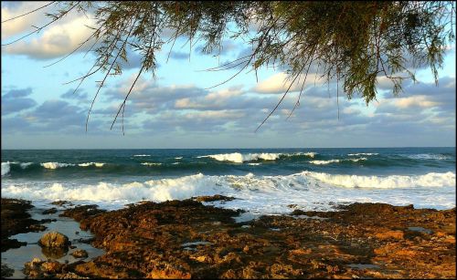 sea water beach