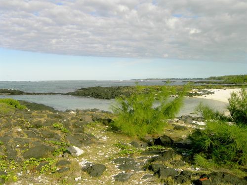 sea rock beach