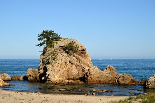 sea sol island pine
