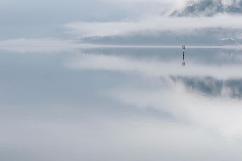 sea fog pond