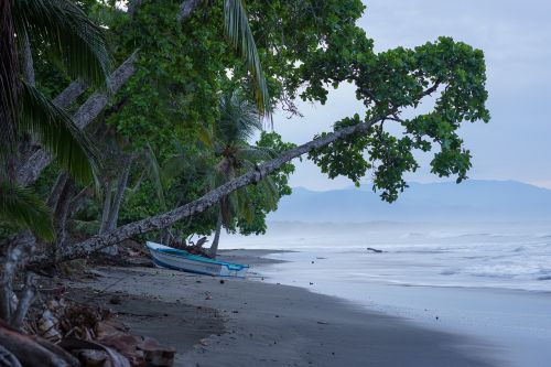 sea beach ocean