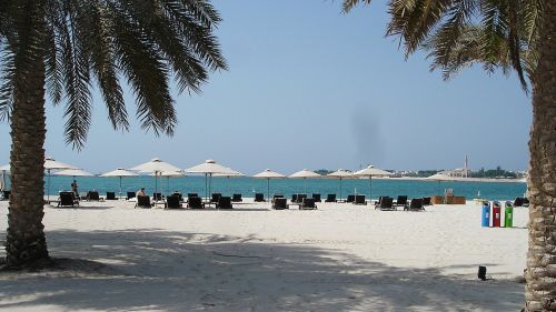 sea palm trees beach