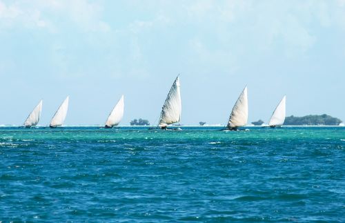 sea dhow dau