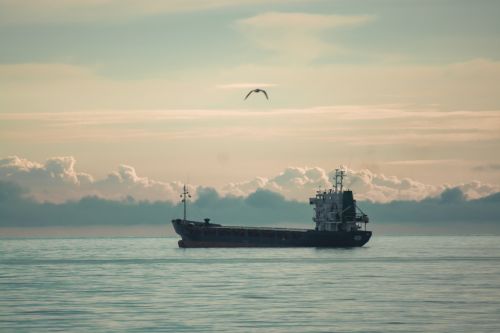 sea ship seagull