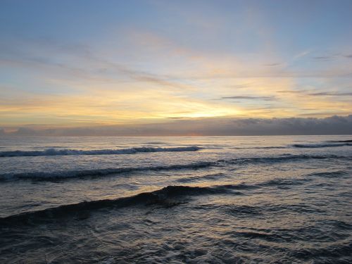 sea florida beach