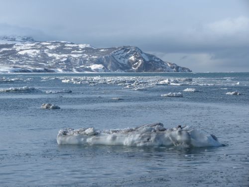 sea ice beach