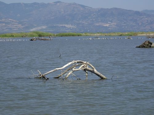 sea mountain landscape