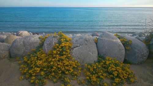 sea beach ibiza