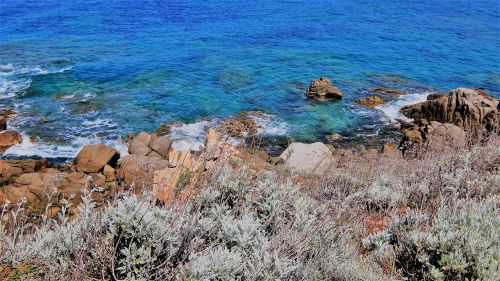 sea coast beach