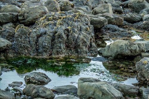 sea rocks seabed