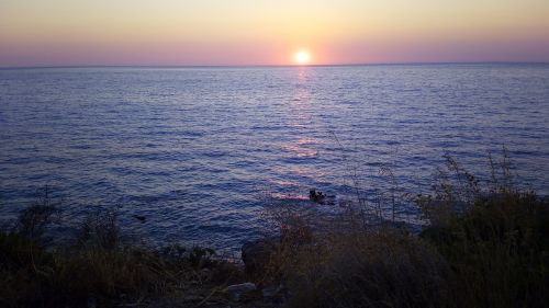 sea grass sunset