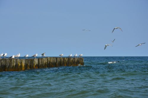 sea sky nature