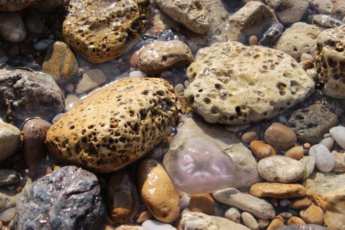 sea pebbles water