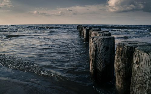 sea beach nature