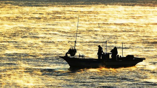sea  fisherman  gangneung