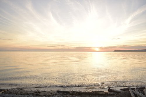 sea  shore  sunset