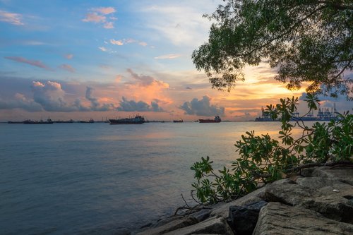 sea  sunset  beach