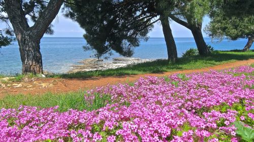 sea adriatic sea croatia