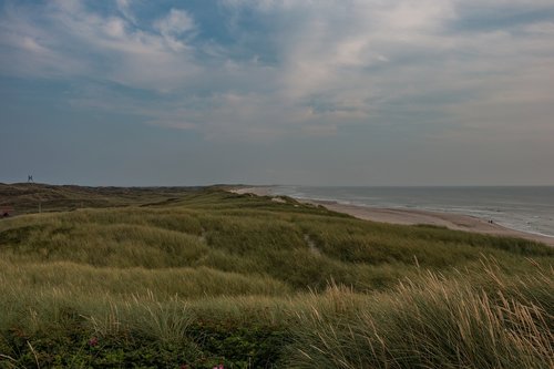 sea  dunes  beach
