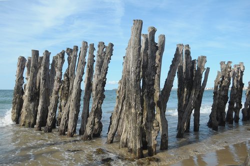 sea  beach  coast