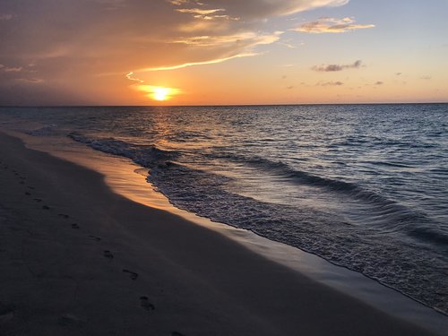 sea  beach  coast